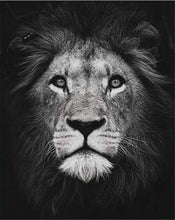 Charger l&#39;image dans la galerie, peinture par numéros | Tête de lion en noir et blanc | animaux complexe lions | FiguredArt