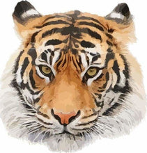 Charger l&#39;image dans la galerie, peinture par numéros | Tête de Tigre | animaux facile tigres | FiguredArt