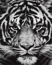 Charger l&#39;image dans la galerie, peinture par numéros | Tête de Tigre en noir et blanc | animaux complexe tigres | FiguredArt