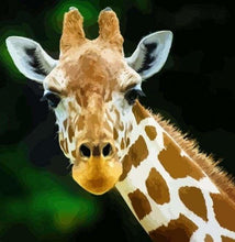 Charger l&#39;image dans la galerie, peinture par numéros | Tête et cou de Girafe | animaux facile girafes | FiguredArt