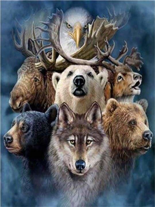 peinture par numéros | Têtes danimaux | animaux complexe loups ours | FiguredArt