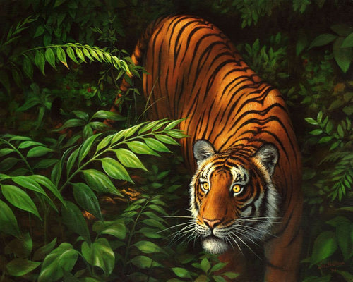 Peinture par numéros Tigre dans les fougères | Figured'Art facile animaux tigres nouveautés