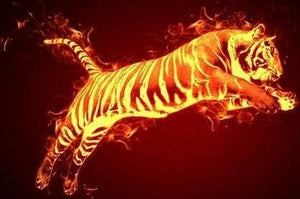 peinture par numéros | Tigre de feu | animaux facile tigres | FiguredArt