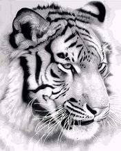 Charger l&#39;image dans la galerie, peinture par numéros | Tigre de Sibérie | animaux facile tigres | FiguredArt