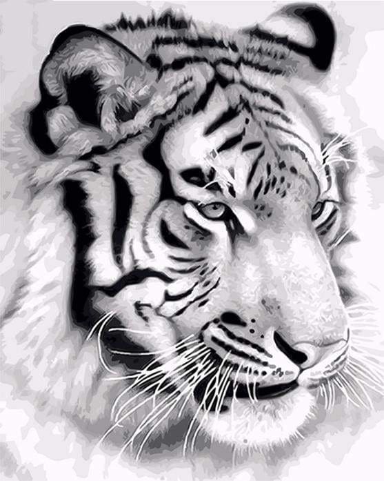 peinture par numéros | Tigre de Sibérie | animaux facile tigres | FiguredArt
