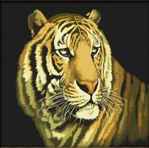 peinture par numéros | Tigre du Bengale | animaux facile tigres | FiguredArt