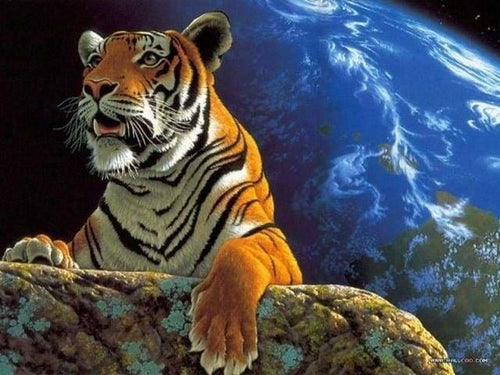 peinture par numéros | Tigre et terre | animaux facile tigres | FiguredArt