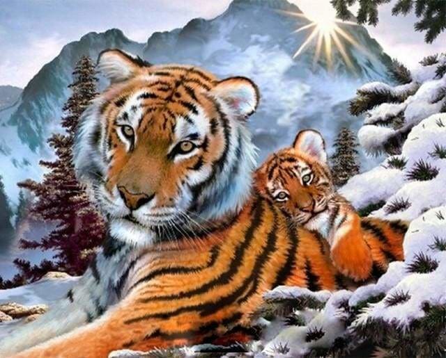 peinture par numéros | Tigres dans la Neige | animaux facile tigres | FiguredArt