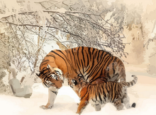 Charger l&#39;image dans la galerie, peinture par numéros | Tigres sous la neige | animaux, Intermédiaire, tigres | FiguredArt
