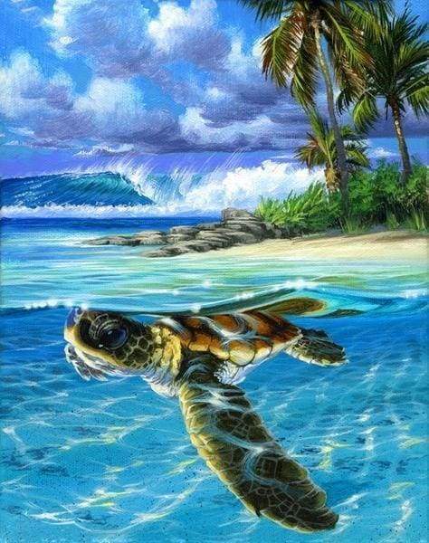 Peinture Par Numéros Enfants – Tortue De Mer – Avec Cadre, Toile HD 20x20 Cm – Dès 5 Ans
