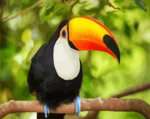 peinture par numéros | Toucan | animaux intermédiaire oiseaux perroquets | FiguredArt