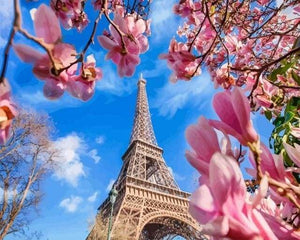 peinture par numéros | Tour Eiffel et Magnolias | complexe fleurs ville | FiguredArt