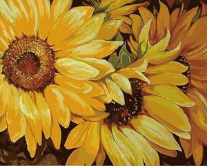 peinture par numéros | Tournesol en pleine floraison | facile fleurs | FiguredArt