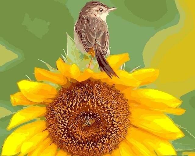 peinture par numéros | Tournesol et Oiseau | animaux fleurs intermédiaire oiseaux | FiguredArt