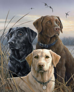 Peinture par numéros Trio de Labrador | Figured'Art intermédiaire animaux chiens nouveautés