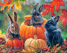 Charger l&#39;image dans la galerie, Peinture par numéros Trio de Lapins | Figured&#39;Art intermédiaire animaux lapins nouveautés