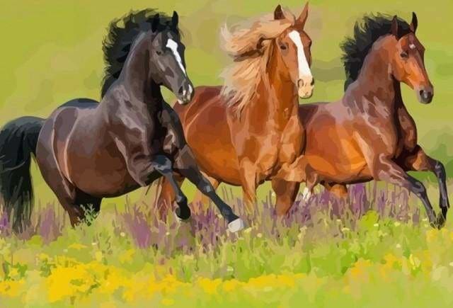 Figured'Art Peinture par Numéro Adulte Deux chevaux en couleur