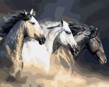 Charger l&#39;image dans la galerie, peinture par numéros | Trois chevaux de profil | animaux chevaux facile | FiguredArt