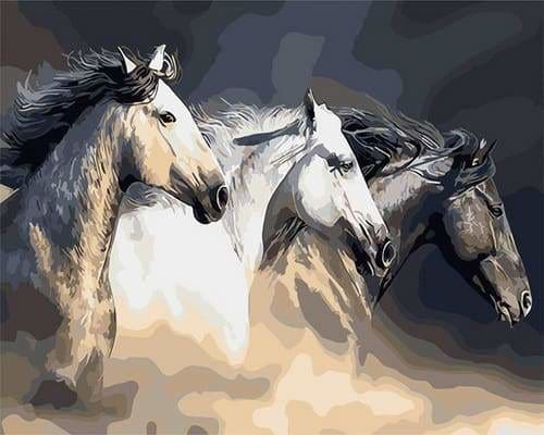 peinture par numéros | Trois chevaux de profil | animaux chevaux facile | FiguredArt