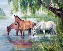 Charger l&#39;image dans la galerie, peinture par numéros | Trois Chevaux se désaltérant | nouveautés animaux chevaux complexe | FiguredArt