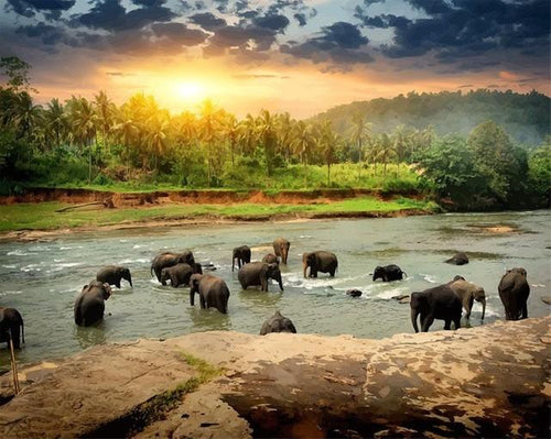 peinture par numéros | Troupeau d’éléphants dans l’eau | animaux, Complexe, éléphants | FiguredArt