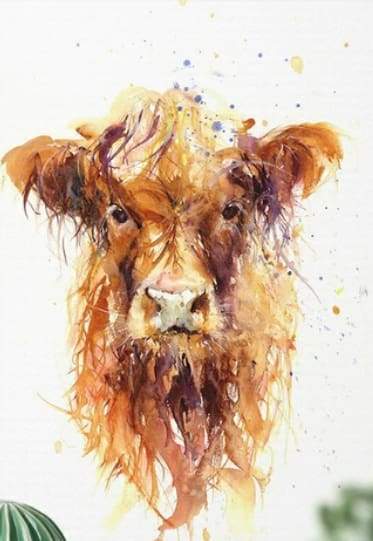 peinture par numéros | Vache marron aux poils longs | animaux complexe vaches | FiguredArt