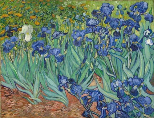 peinture par numéros | Van Gogh Iris | complexe fleurs reproduction van gogh | FiguredArt
