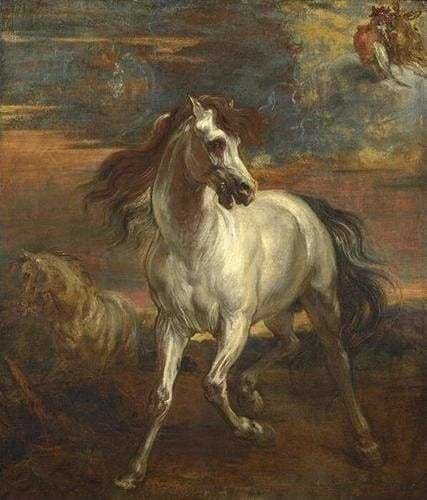 peinture par numéros | Vieux Cheval | animaux chevaux complexe | FiguredArt