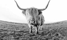 Charger l&#39;image dans la galerie, peinture par numéros | Yak dans le Désert | animaux bisons and yacks complexe | FiguredArt